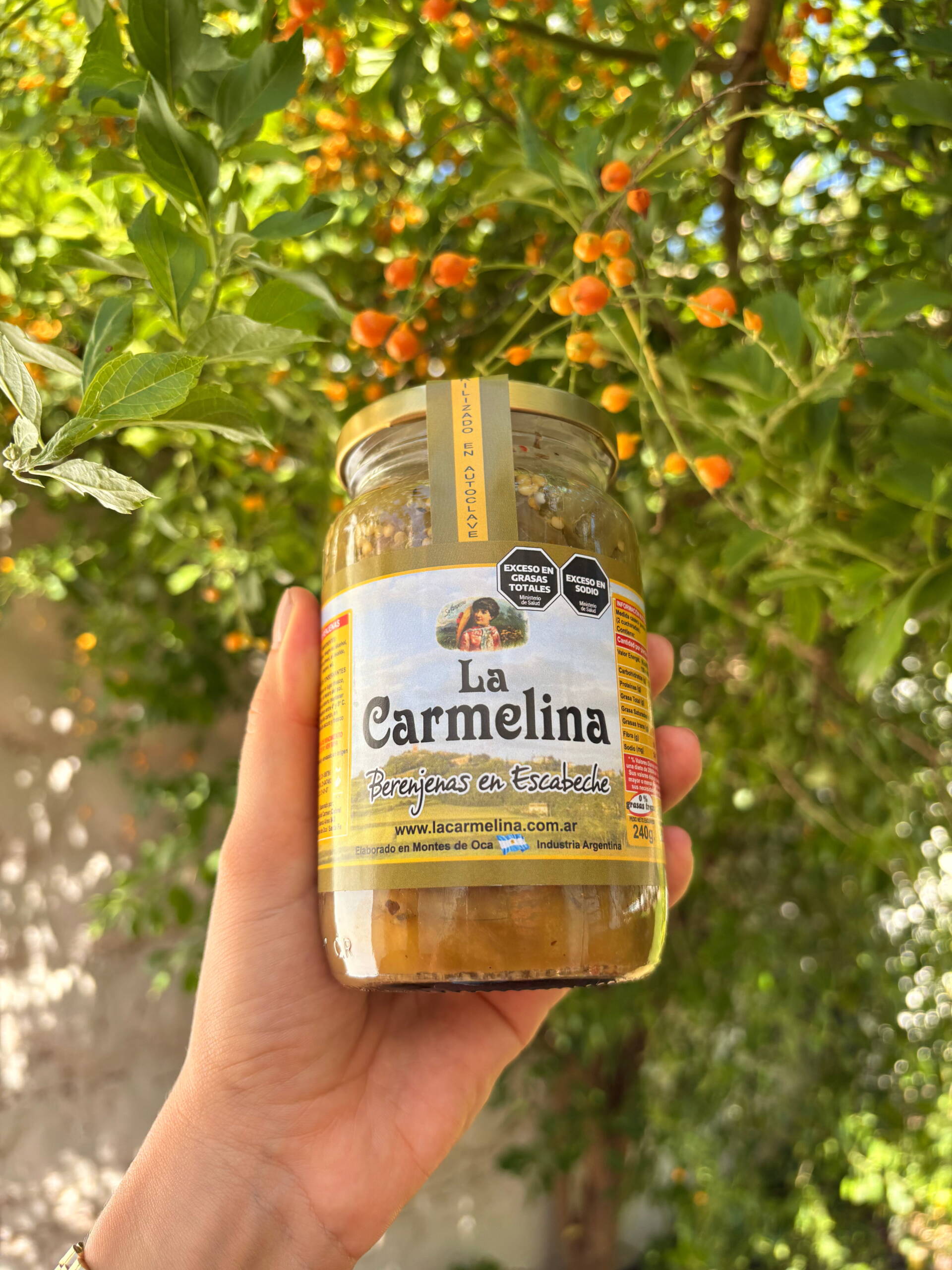 Berenjenas en escabeche x 240 gr - Image 2