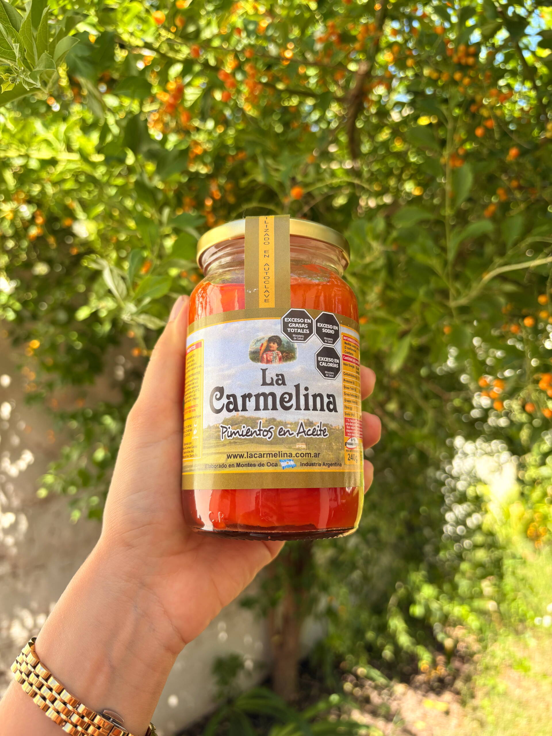 Pimientos en aceite la carmelina x 240 gr - Image 2