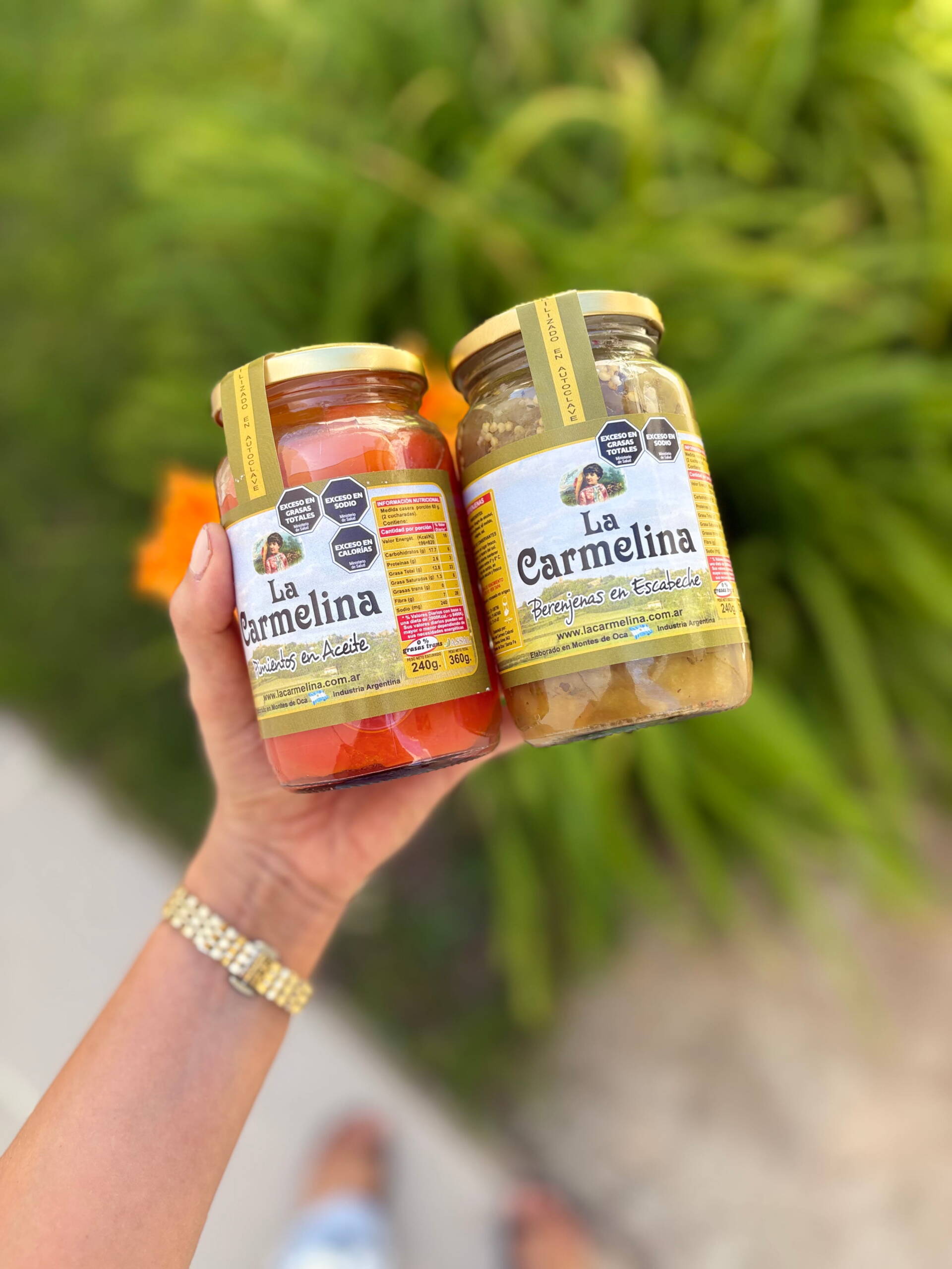 Berenjenas en escabeche x 240 gr - Image 3